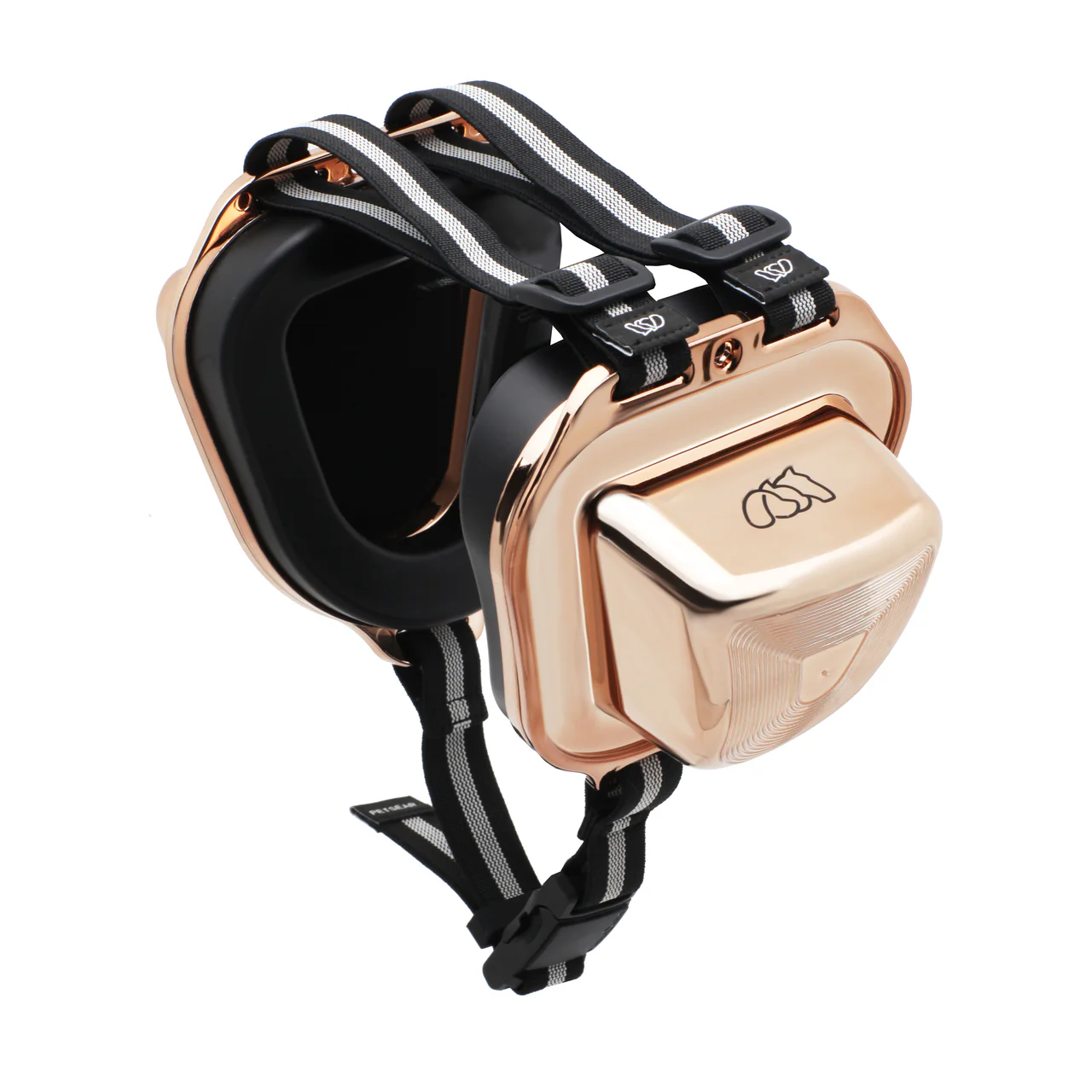 ���p�Չ��� �ʔ�